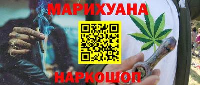 гашик Кингисепп
