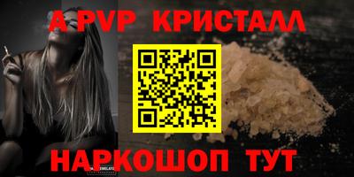 гашик Кингисепп