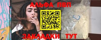 гашик Кингисепп