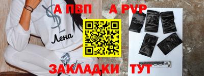 гашик Кингисепп