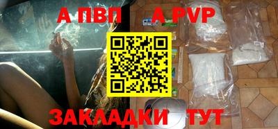 гашик Кингисепп