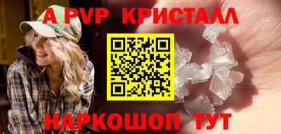 гашик Кингисепп