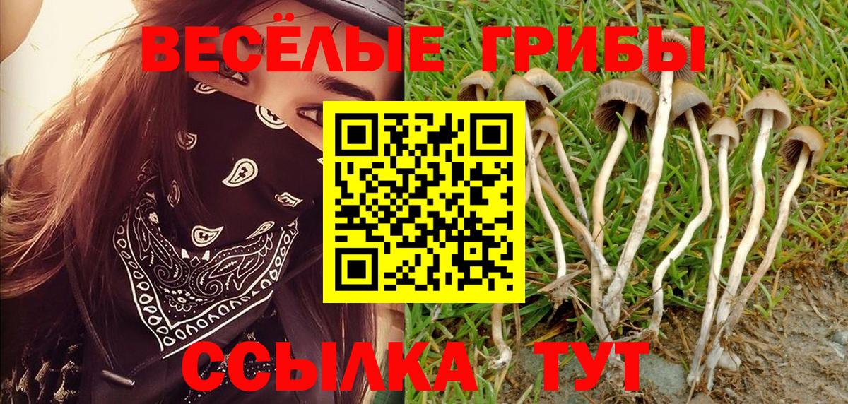 Галлюциногенные грибы GOLDEN TEACHER  как найти   Кашира  Вход с VPN 