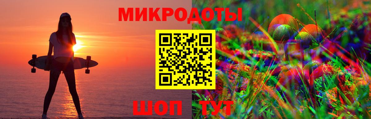 Галлюциногенные грибы Psilocybine cubensis Кашира