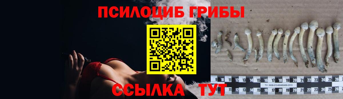COCAIN  Кашира  МЕФ   Вход с VPN  Гашиш  Бошки Шишки 