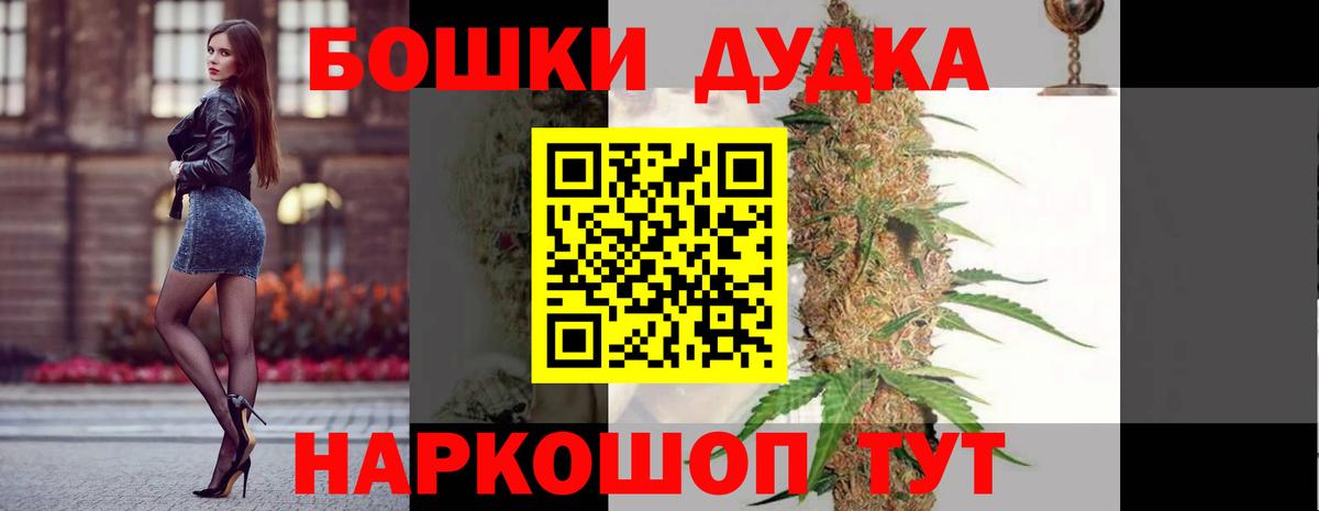 Бошки Шишки планчик Кашира